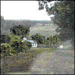 Woodland Scenics - Deciduous Mixed Green Trees (38)