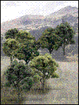 Woodland Scenics - Deciduous Mixed Green Trees (14)