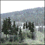Woodland Scenics - Trees Connifers 2-1/2-4"(33)