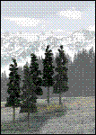 Woodland Scenics - Trees Connifers 6-8" (12)