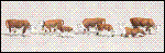 HO Woodland Scenics Figures - Hereford Cows