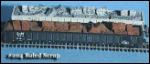 N FNS Scrap Load - Baled Scrap for E&C 65' Gon