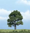 Woodland Scenics Premium Trees, Oak, 3"