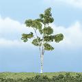 Woodland Scenics Premium Trees, Paper Birch, 4.5"